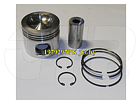 1979297PK Комплект поршней Piston Kits