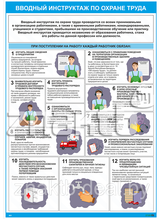 Плакат по охране труда Вводный инструктаж по охране труда - фото 1 - id-p119113550