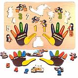 Развивающая доска "Сорока-белобока" Ладошки, фото 2