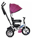 Детский велосипед трехколесный Trike Pilot PTA1V 12/10" 2020 (фиолетовый), фото 3