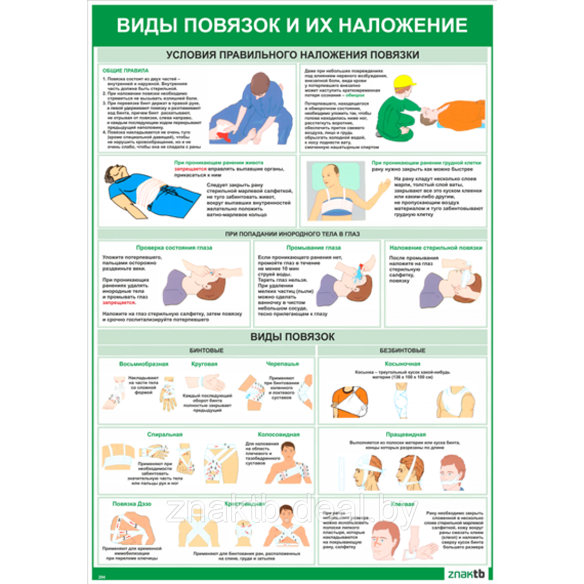 Плакат информационный Виды повязок и их наложение - фото 1 - id-p119244147