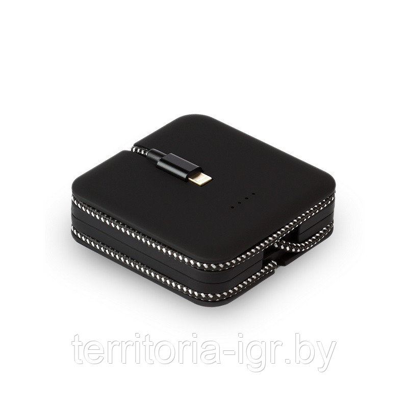 Внешний аккумулятор 8pin 4000мАч 2.1A Originals BIN SBPB-310 Smartbuy power bank - фото 3 - id-p119287773