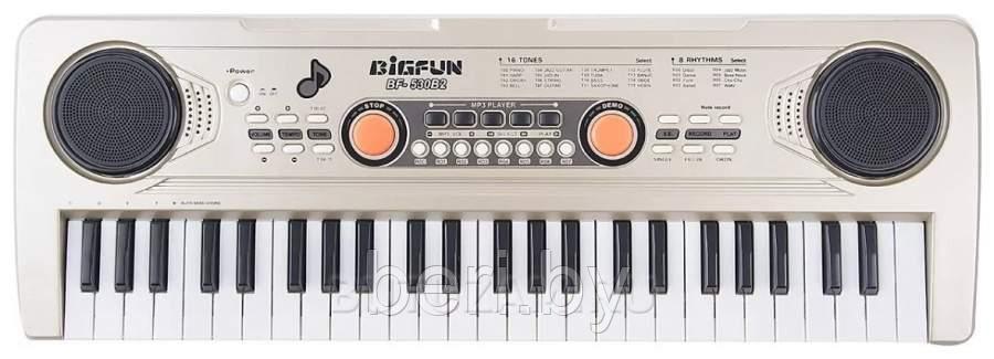 BF-530B2 Детский синтезатор пианино с микрофоном и USB, запись, 49 клавиш - фото 3 - id-p119194902