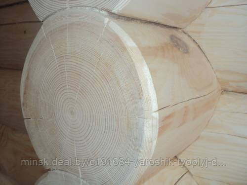 Шлифовка деревянных срубов бань - фото 2 - id-p4517808