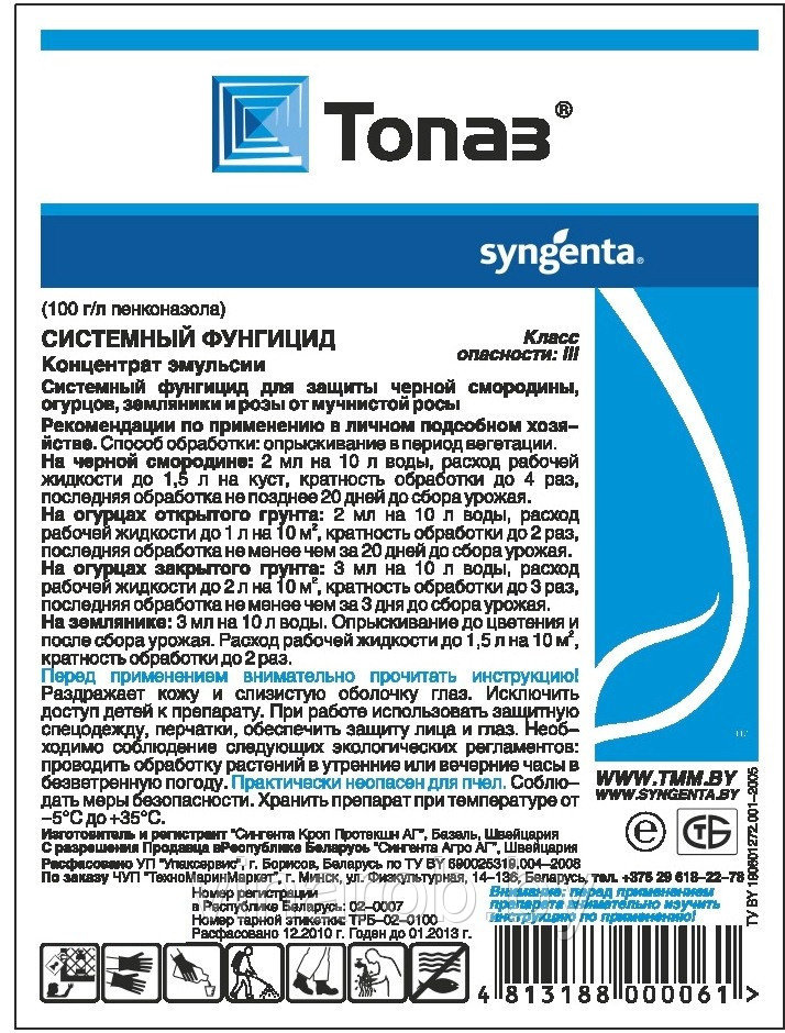 Топаз: інструкція по використанню, основні функції та рекомендації