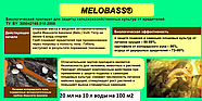 Биопрепарат Мелобасс (1 литр) Beauveria bassiana, фото 2