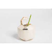КОКОС - органический свежий полноводный молодой кокос в Минске!
