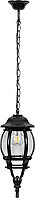 Уличный подвесной светильник FERON 8105 1*100W, E27, 230V, IP44, цвет черный