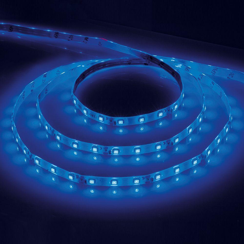 Cветодиодная LED лента Feron LS603, 60SMD(2835)/м 4.8Вт/м 5м IP20 12V синий