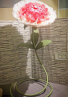 Ростовой цветок из гофрированной бумаги "Пион"