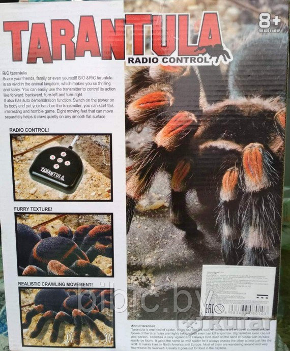 Детская радиоуправляемая игрушка Тарантул'' на р/у, Tarantula радиоуправляемый паук - фото 5 - id-p119638417