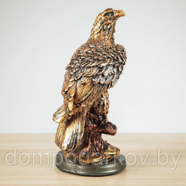 Статуэтка "Орёл" 31 см, бронза , микс - фото 3 - id-p119769606