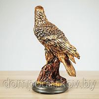 Статуэтка "Орёл" 31 см, бронза , микс, фото 4