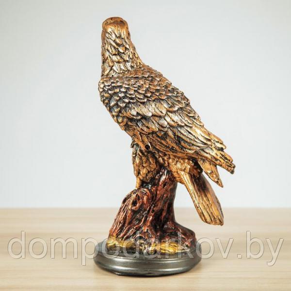 Статуэтка "Орёл" 31 см, бронза , микс - фото 4 - id-p119769606