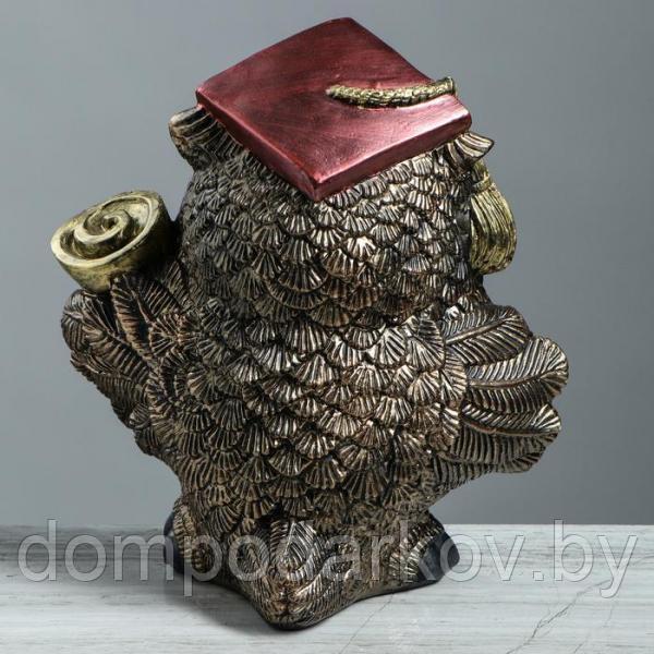 Статуэтка "Сова с дипломом"цвет бронзовый, 27 см - фото 3 - id-p119769607