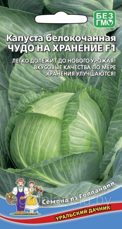 Капуста ЧУДО НА ХРАНЕНИЕ F1, 0.3 г: семена, семена овощных культур ...