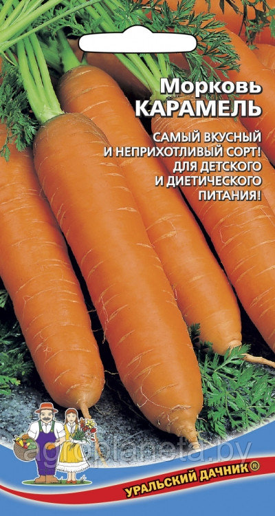Морковь КАРАМЕЛЬ, 1,5 г - фото 1 - id-p119784751