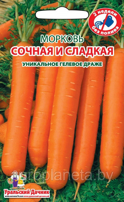Семена моркови СОЧНАЯ И СЛАДКАЯ (гелевое драже), 300 шт