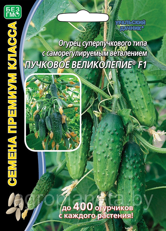 Огурец ПУЧКОВОЕ ВЕЛИКОЛЕПИЕ® F1, 5 шт