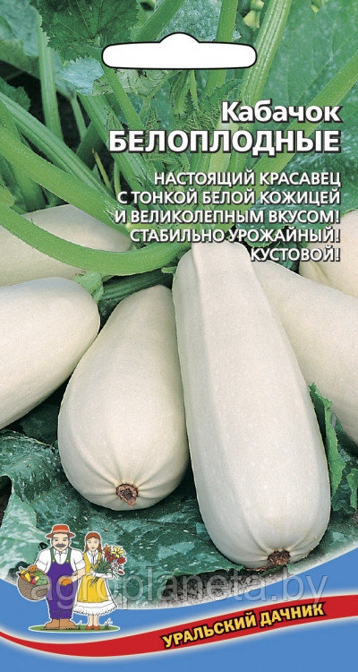 Кабачок БЕЛОПЛОДНЫЙ, 2г