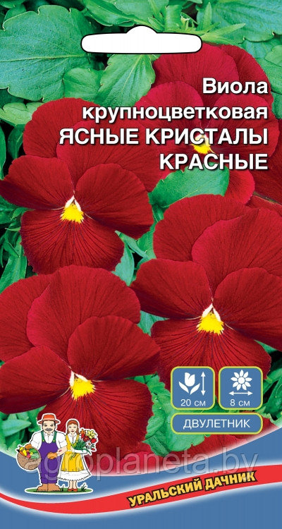 Виола крупноцветковая ЯСНЫЕ КРИСТАЛЛЫ КРАСНЫЕ, 0.05