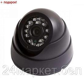 (45-0161) купольная камера видеонаблюдения с ИК- подсветкой PROCONNECT