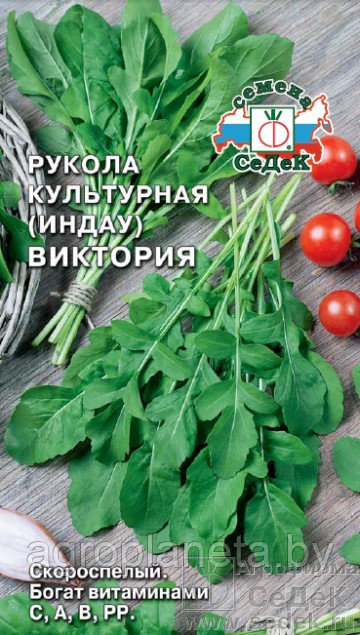 Рукола Культурная ВИКТОРИЯ, 1г