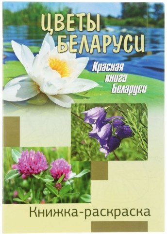 Книжка-раскраска А4, 8 л., «Цветы Беларуси» - фото 2 - id-p97751916