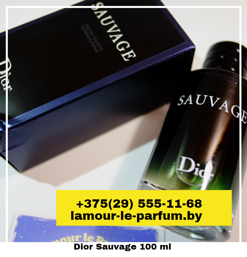 Dior Sauvage / EDP 100 ml (Диор Саваж) - фото 2 - id-p75861462