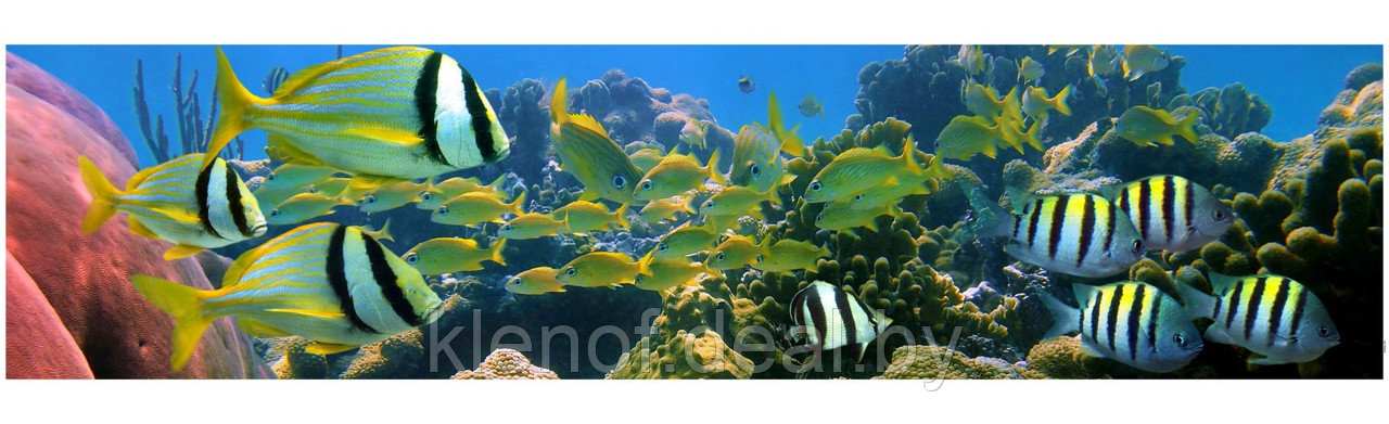 Экран под ванну 3D 1.5 м Коралловый риф - фото 1 - id-p120032947
