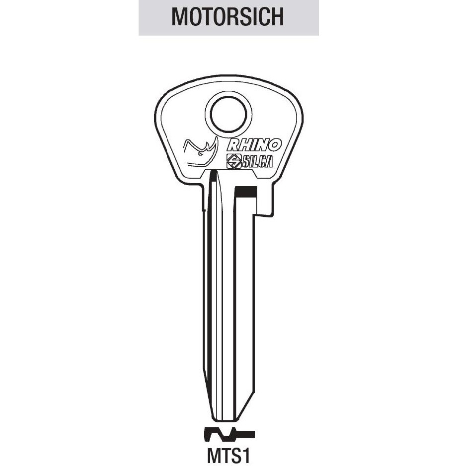 MOTORSICH MTS1