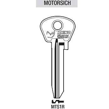 MOTORSICH MTS1R