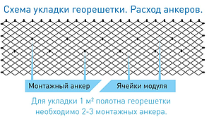 Георешетка полимерная объемная ОР 5 СН высотой 50 мм, размер ячейки 160х160 мм, фото 2