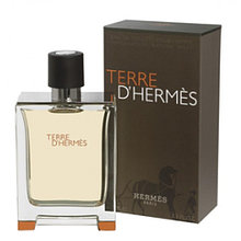 Мужская туалетная вода Hermes Terre D'Hermes edt 100ml