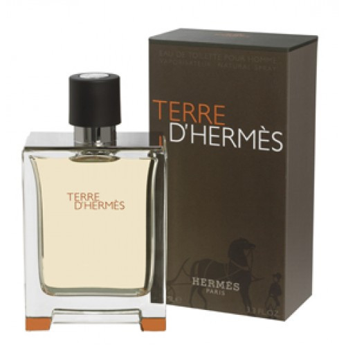 Мужская туалетная вода Hermes Terre D'Hermes edt 100ml - фото 1 - id-p7531620