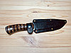 Нож туристический Кизляр Клык, фото 2