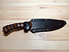 Нож туристический Кизляр Шерхан, фото 2