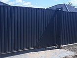 Забор из металлопрофиля, фото 2
