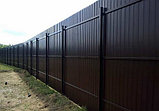 Забор из металлопрофиля, фото 5