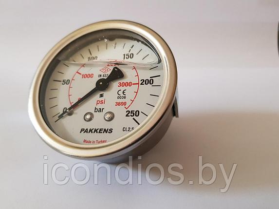 Манометр с задним выходом 250 bar, фото 2