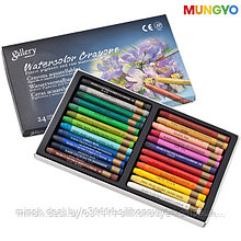 Акварельные профессиональные пастельные мелки, 24 цвета в картонной коробке MGMAC24