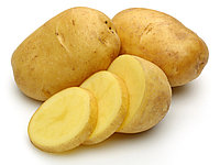Четыре новых сорта семенного картофеля уже в продаже!