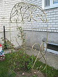 Кованая пергола №1, фото 2