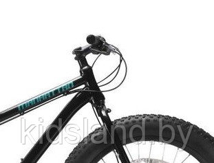 Велосипед Racer Manhattan Disc 26 (черный) - фото 2 - id-p118938967