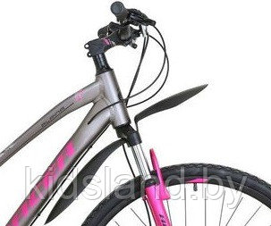 Велосипед Racer Alpina Lady Disc 28" (серый) - фото 2 - id-p120703726