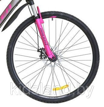 Велосипед Racer Alpina Lady Disc 28" (серый) - фото 5 - id-p120703726
