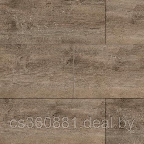 SHEFFILED OAK, фото 2