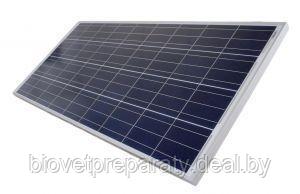 Солнечная панель OS-100М 100 ватт 12В МОНО - фото 2 - id-p120816530