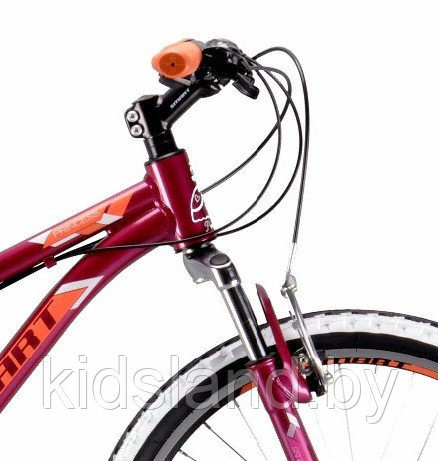 Велосипед Racer Princess V 24" (вишневый) - фото 2 - id-p120889531