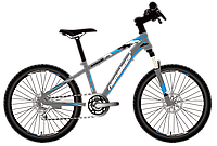 Велосипед подростковый Nameless S4300D 24" серо-синий